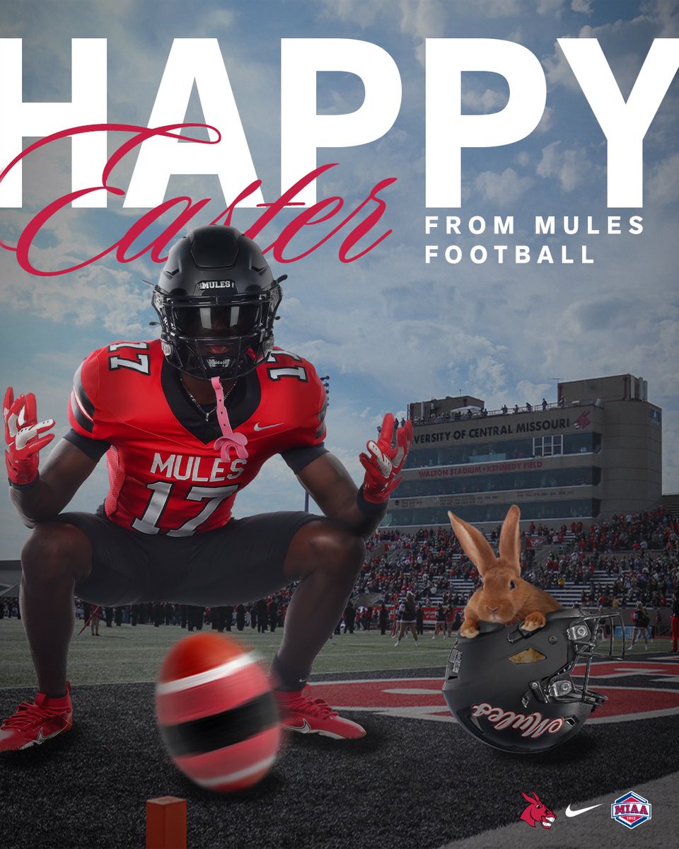 Mules Football tweet media