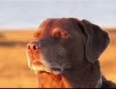 Mando Rot 🇮🇳 tweet media