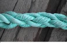 Patriot1776Dee tweet media