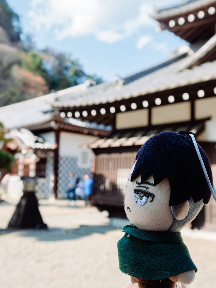 江戸の街を調査🌸