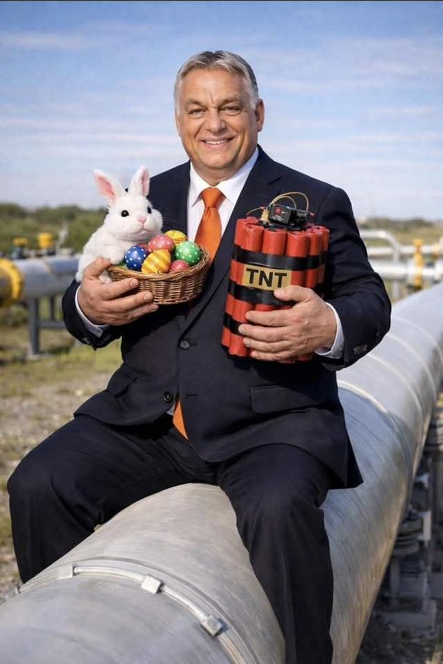 Borbala Kriza tweet media