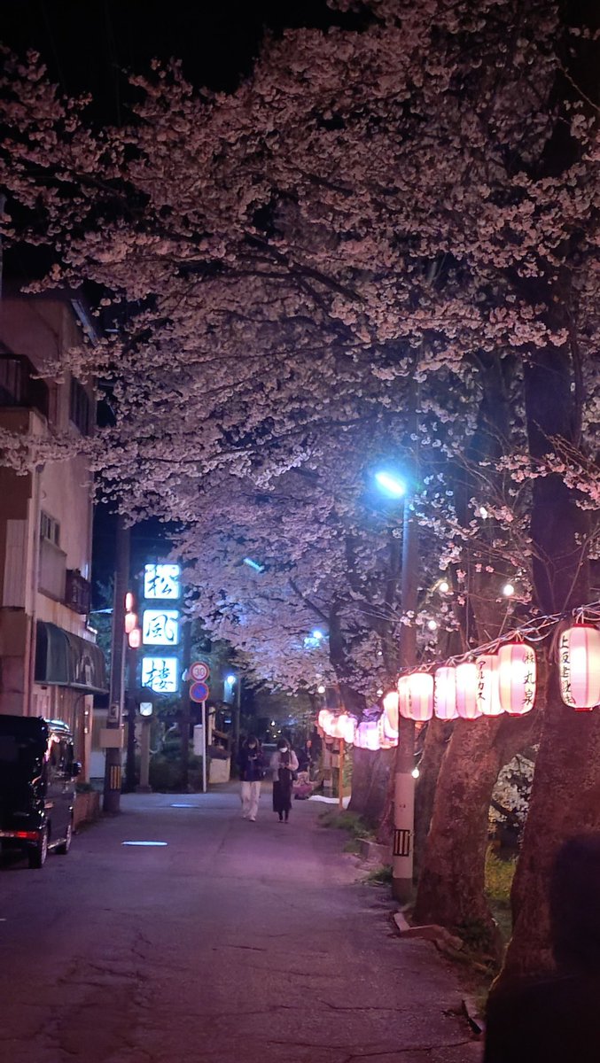 fuku3_feichai tweet media