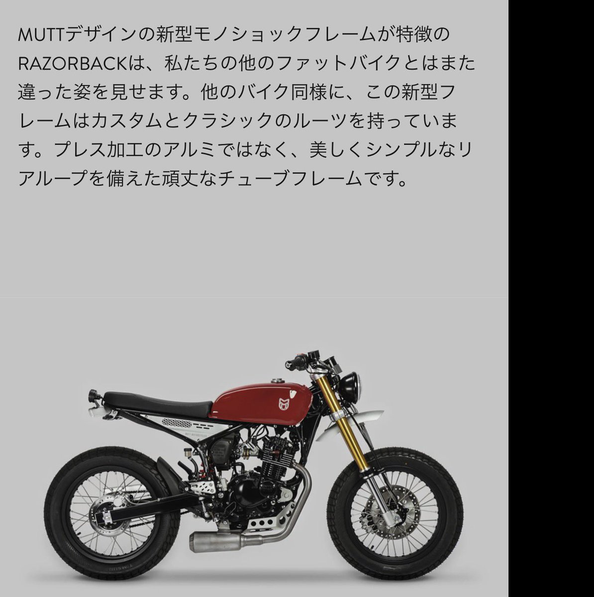 ブリ太郎 tweet media