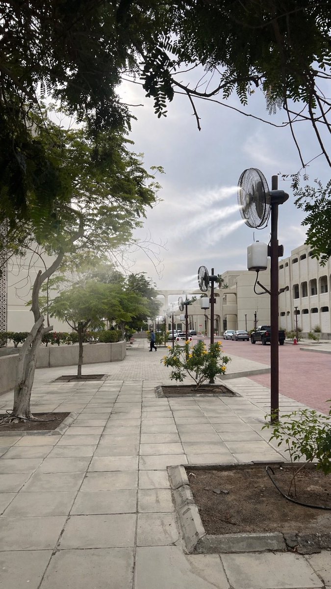 Ali🌌• tweet media