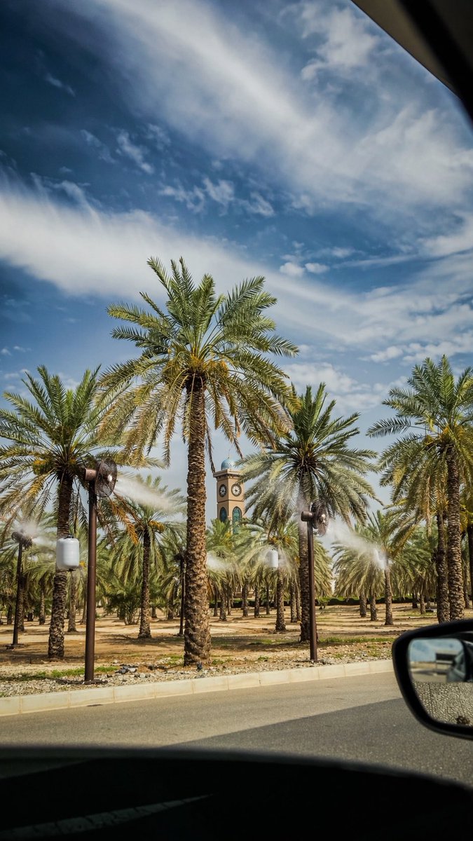 Ali🌌• tweet media