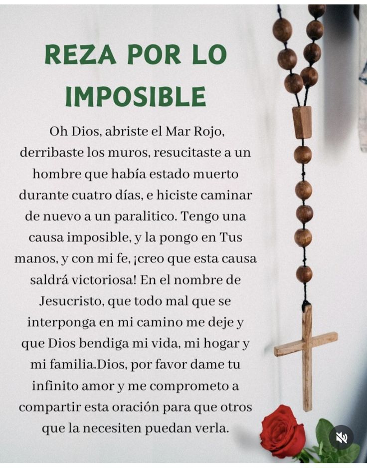 🦋🄼🄾🅃🄸🅅🄾🅂🦋 tweet media