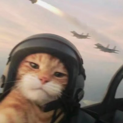 Oge tweet media