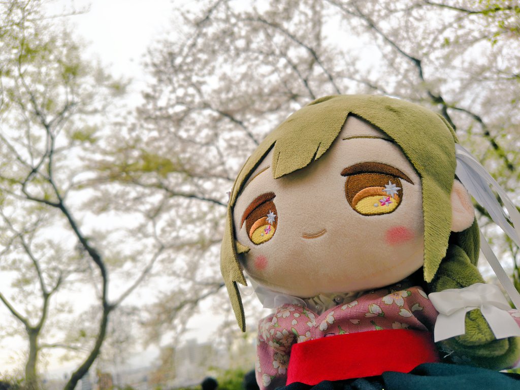 ぐり(ヒケナイ·ガイP) tweet media