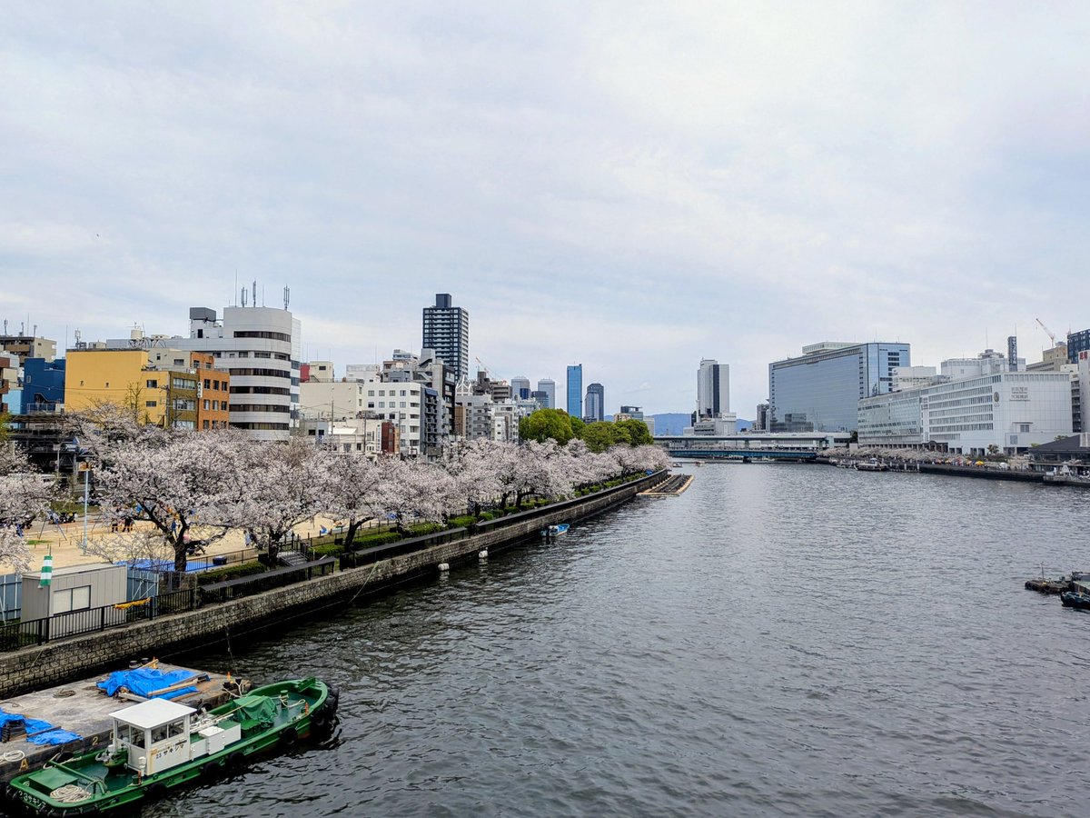 mayumi ｜ 三和建設株式会社の広報担当 tweet media