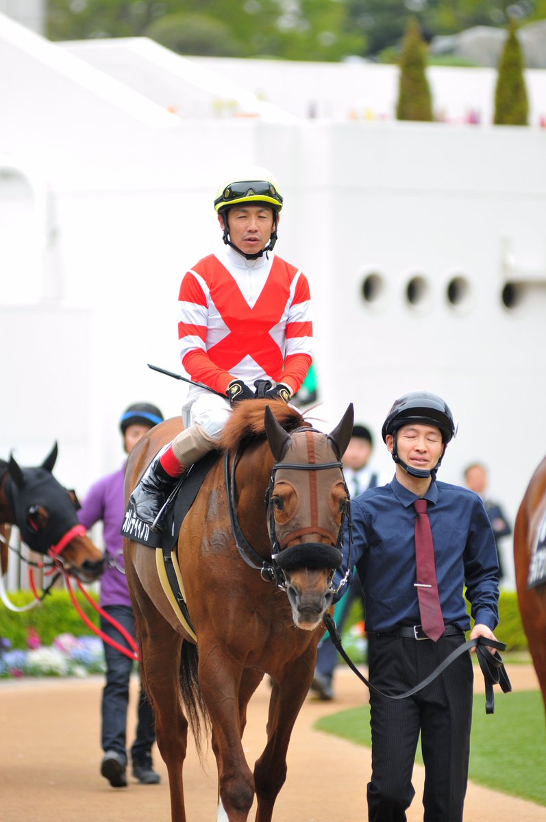 the-allow【放牧】　想定→中山GJ tweet media