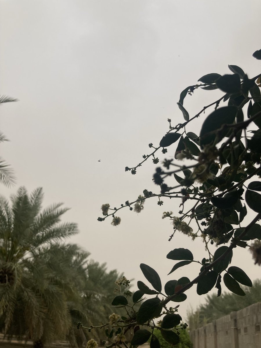 (بل يداهُ مبسوطَتان يُنفق كيف يشاء)
سبحانه ربي الجواد الكريم واسع البذل والعطاء🌷