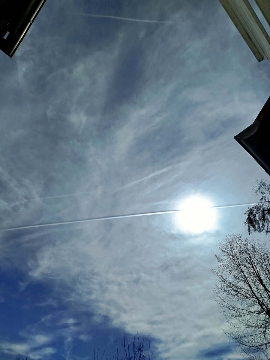 Natascha am Meer tweet media