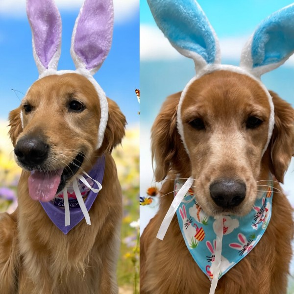 RikHaroldson tweet media