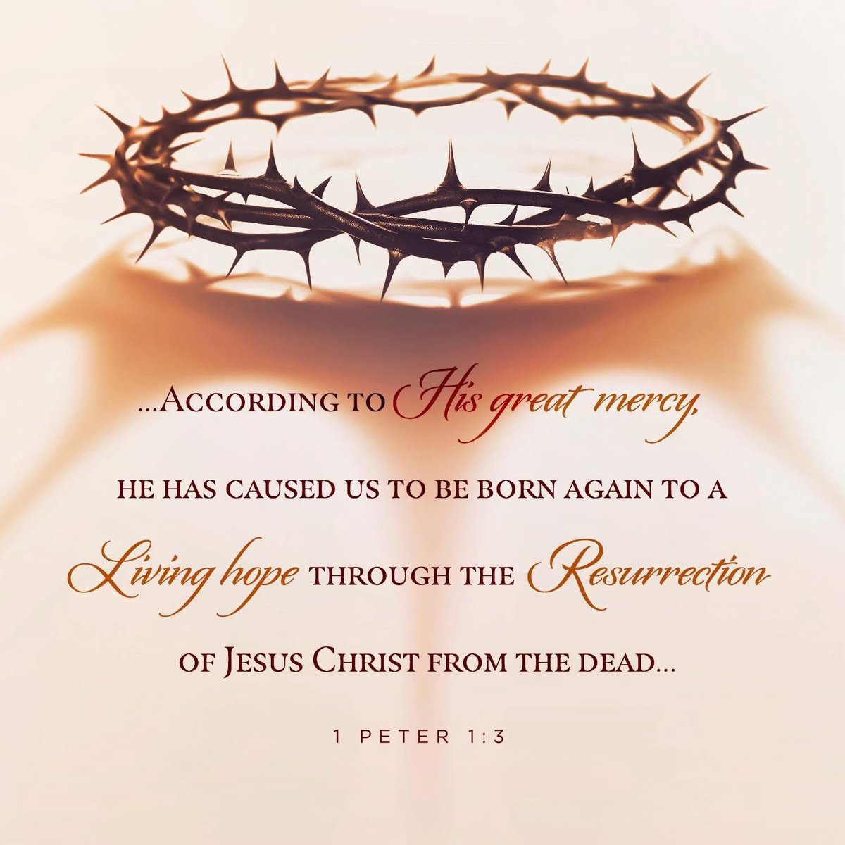 Rick Brattin tweet media