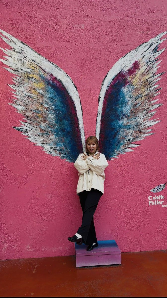 FMぎのわん｜79.7Mhz tweet media