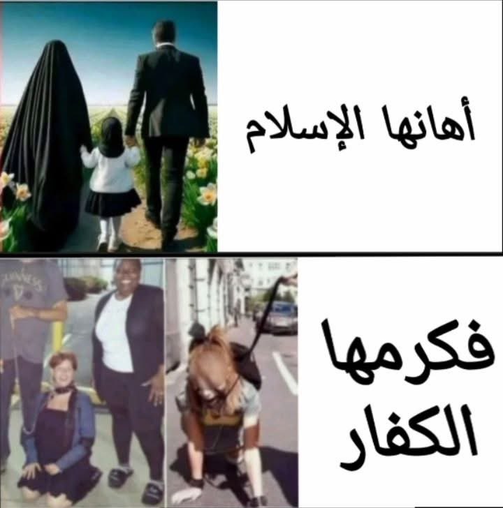 كرم قاضي tweet media