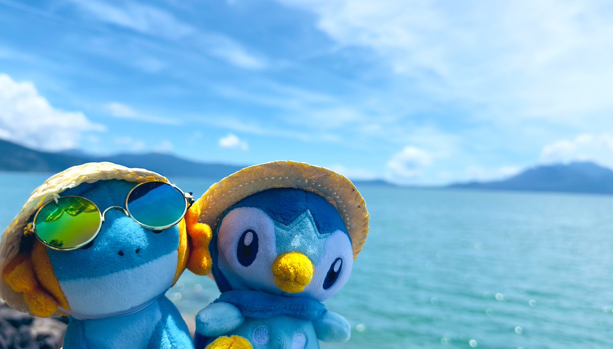 おにぎし🍙 tweet media