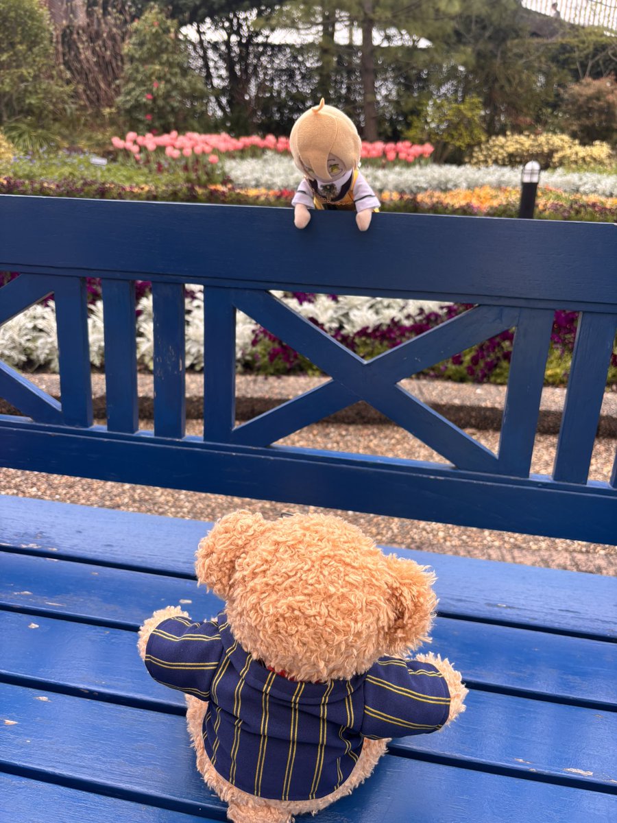 みい☆6/13カルライ tweet media