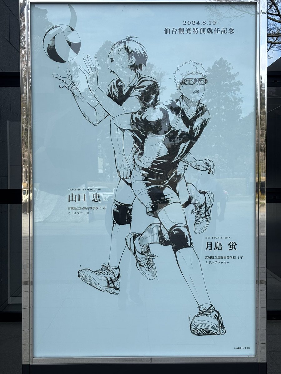 レピシエ＠ペンギン㌠ tweet media