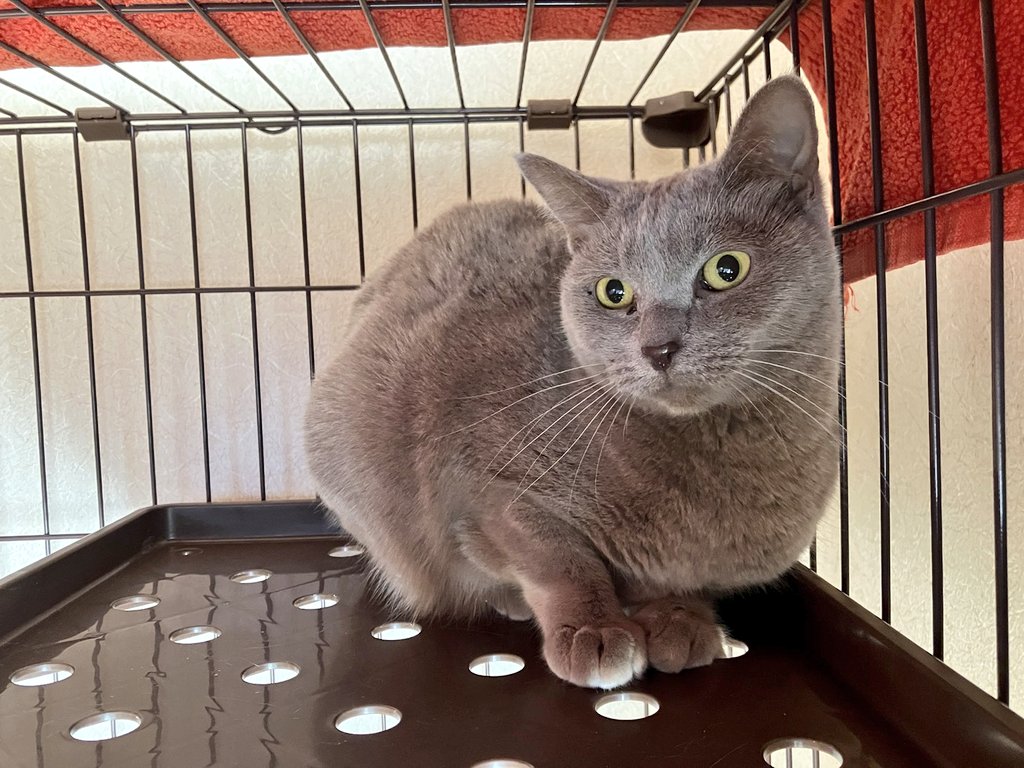 彦さん tweet media