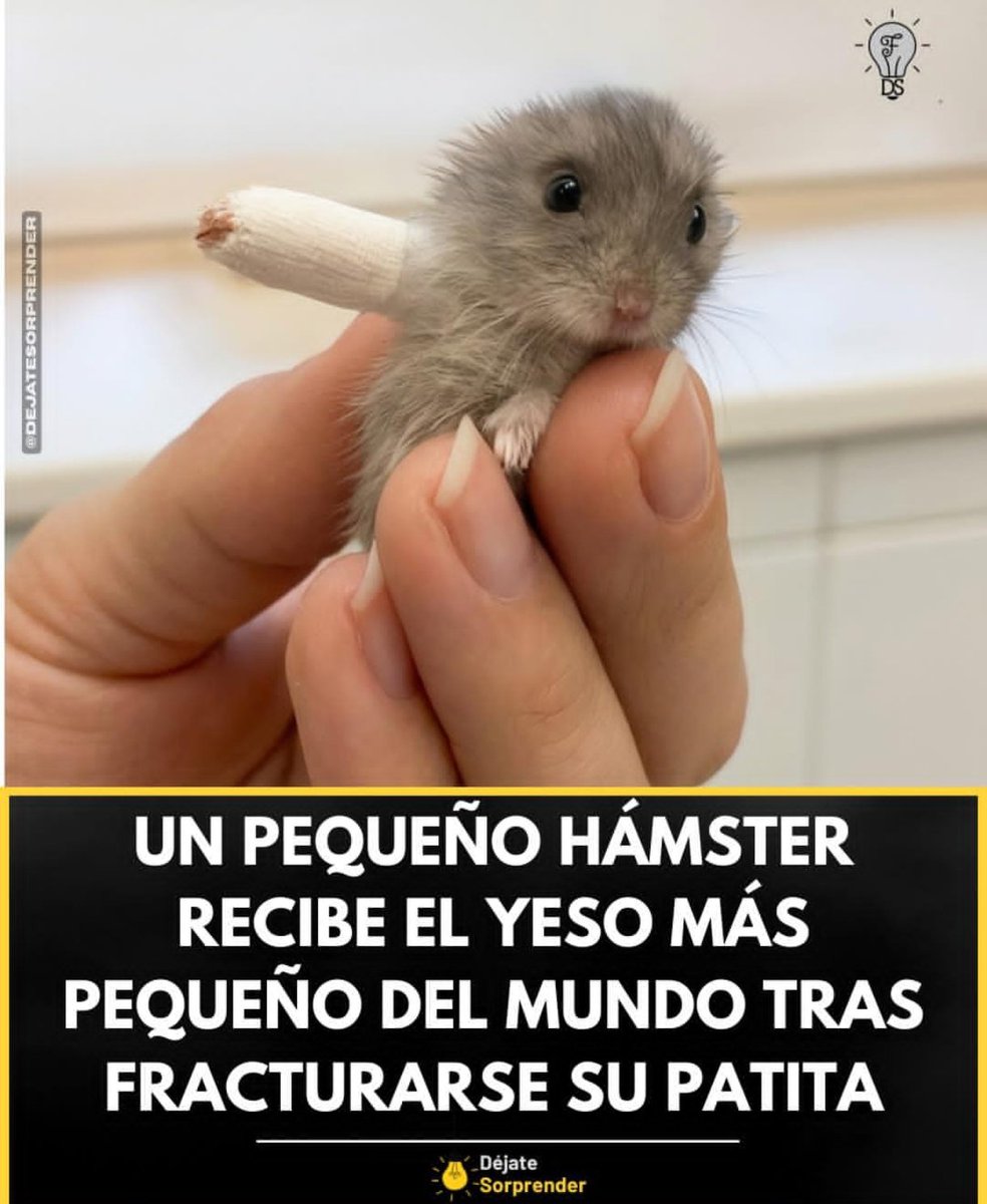 Luis Aníbal Rincón Arguello. ® 🇨🇴 tweet media