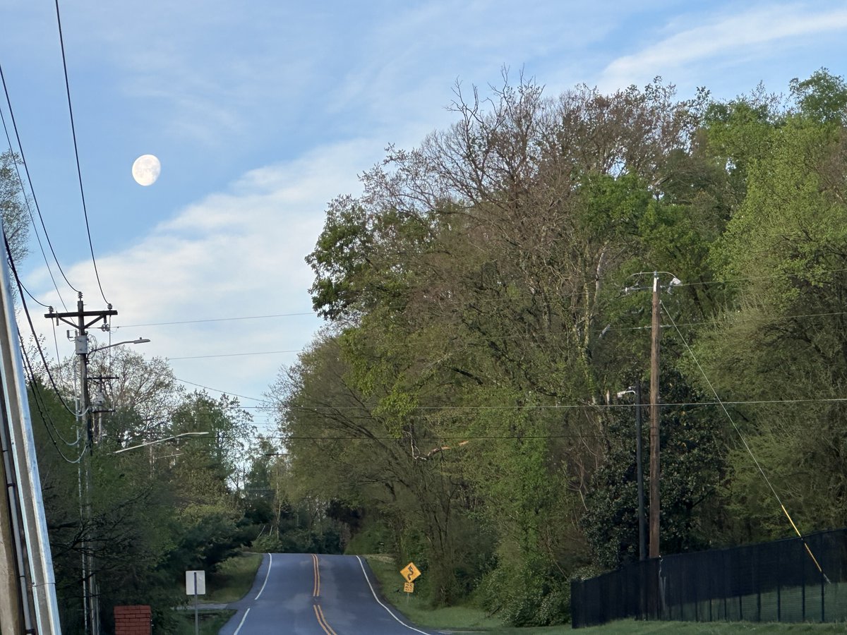 The Panic tweet media