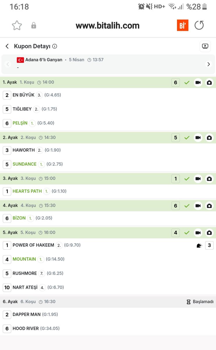 Salih Sdy tweet media