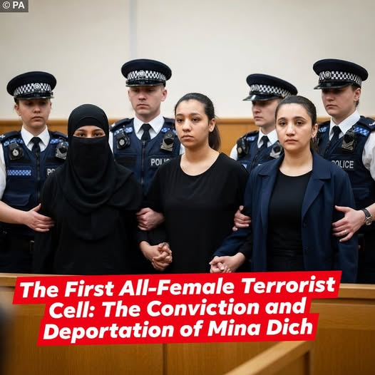 Imtiaz Mahmood tweet media