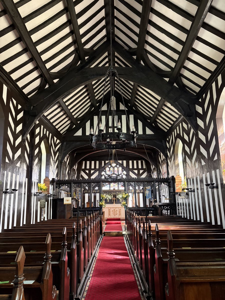 ☠️ Matt 👾 tweet media