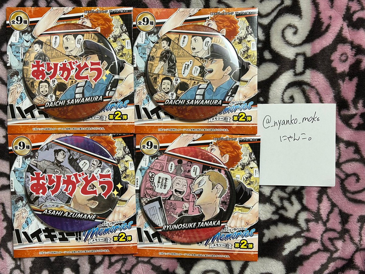 にゃんこ。 tweet media