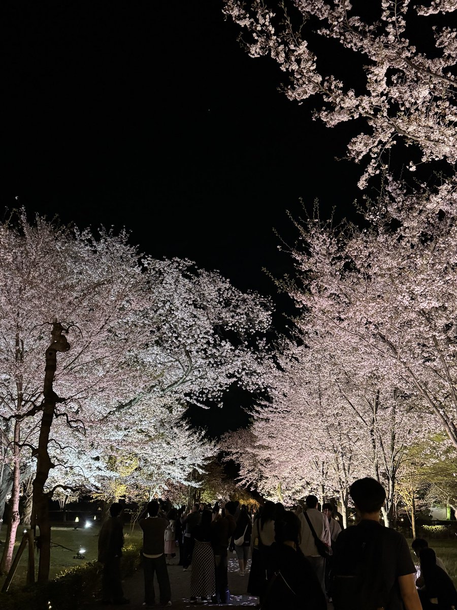 hirokiLEXIA's tweet photo. 三月を乗り切り、京都でゆっくり。🌸
四月からまたよろしくお願いします。 https://t.co/KhJzBWWv0T