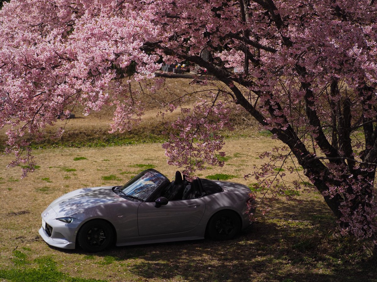 ロゼア tweet media