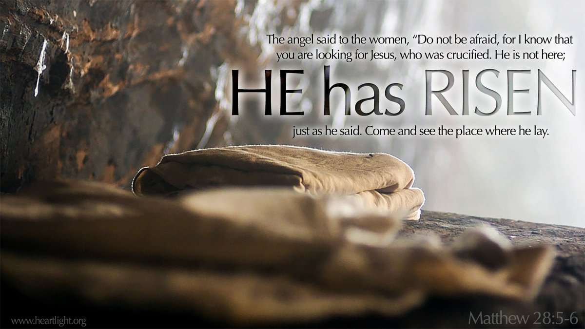 Michael Ciociola tweet media