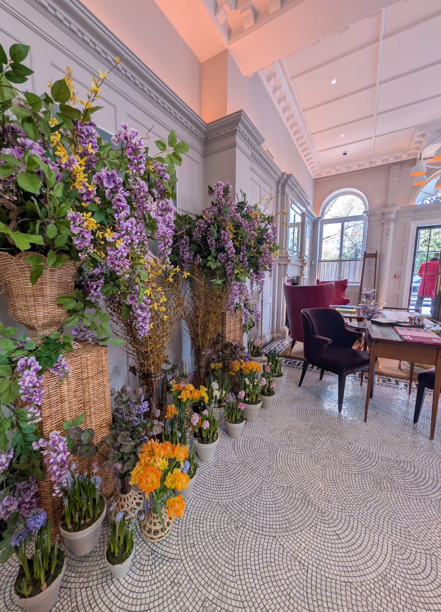 ʙ ᴀ ᴡ ɪ ♔ tweet media