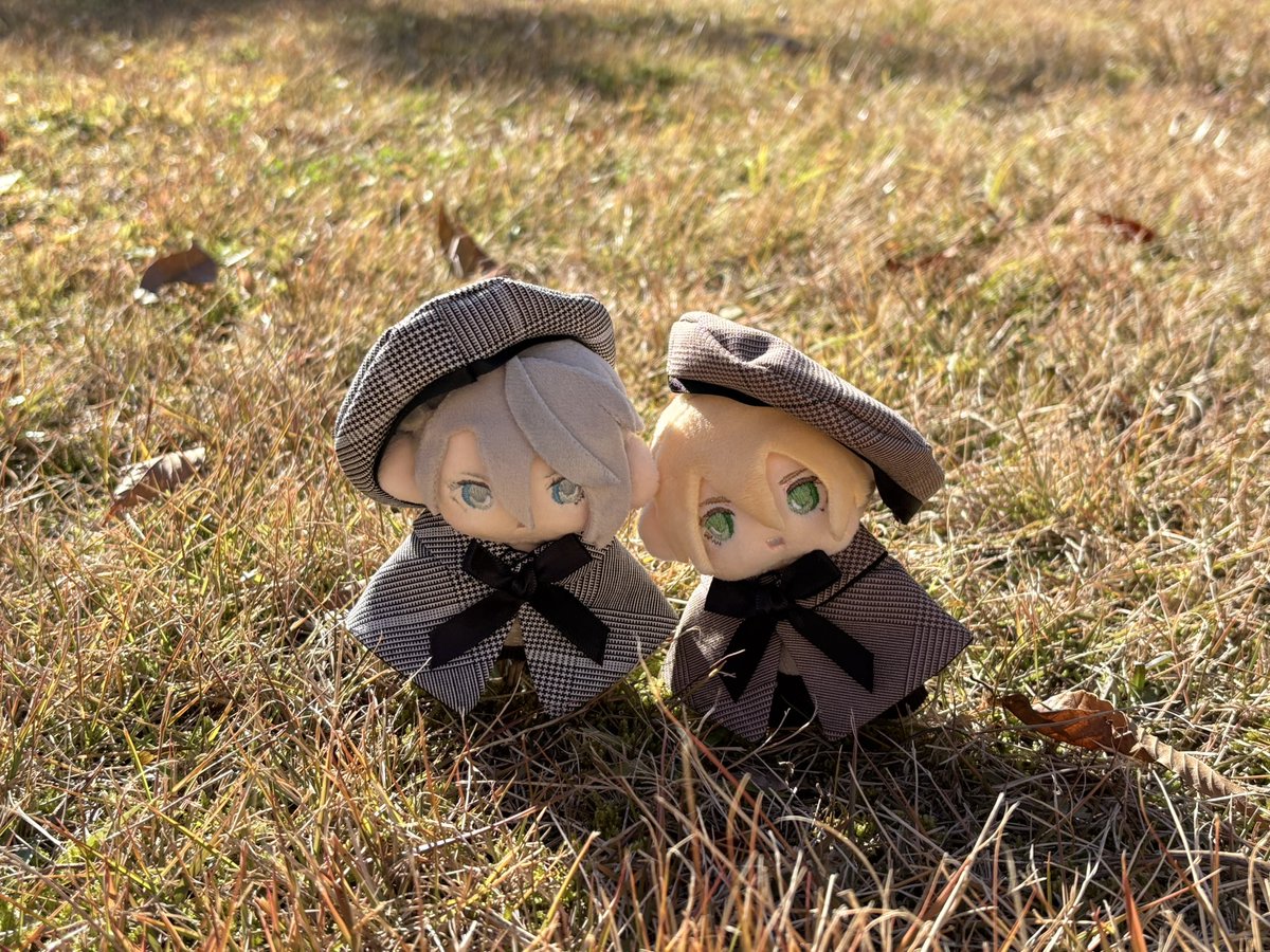 惣兵衛❄ tweet media