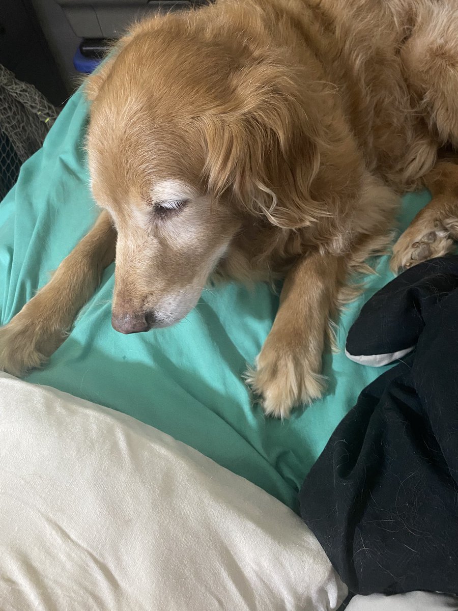 ©️Combat Fishing Russ®️ 🎣 tweet media