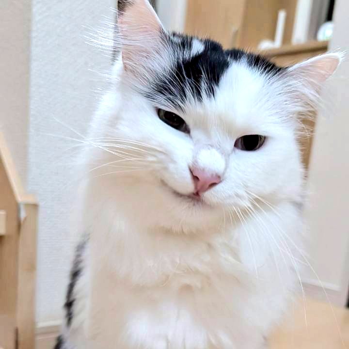 サフ✨にごり水🍊28🍊 tweet media