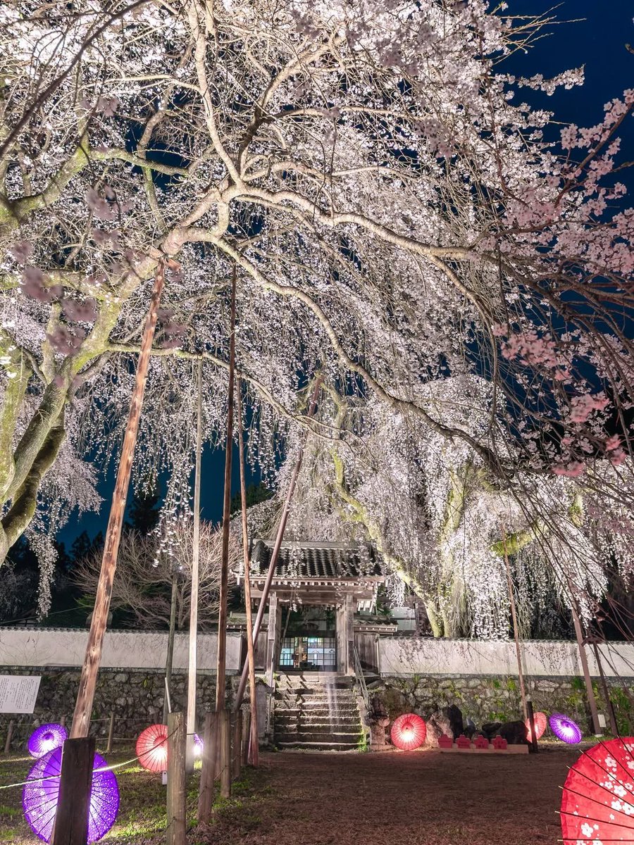 @Nature Escape 🌿 tweet media