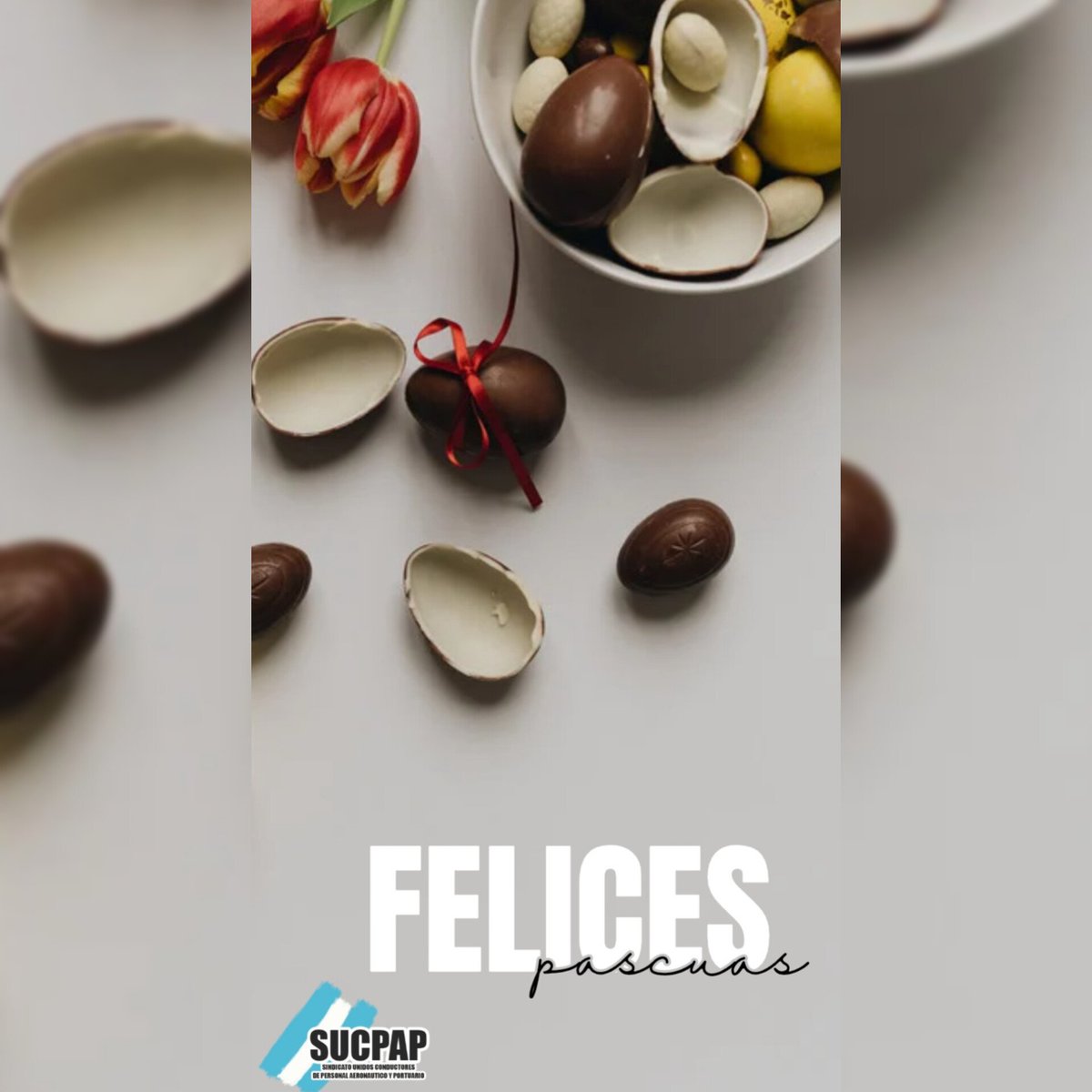 SUCPAP's tweet photo. ¡Compañeros y Compañeras, les deseamos unas Felices Pascuas y que pasen un hermoso día en familia!. 🐰🐰 https://t.co/cZEIgHJpGQ