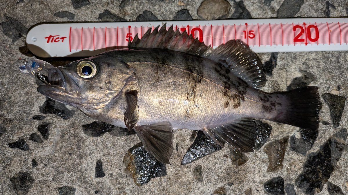 NAVY6622 tweet media