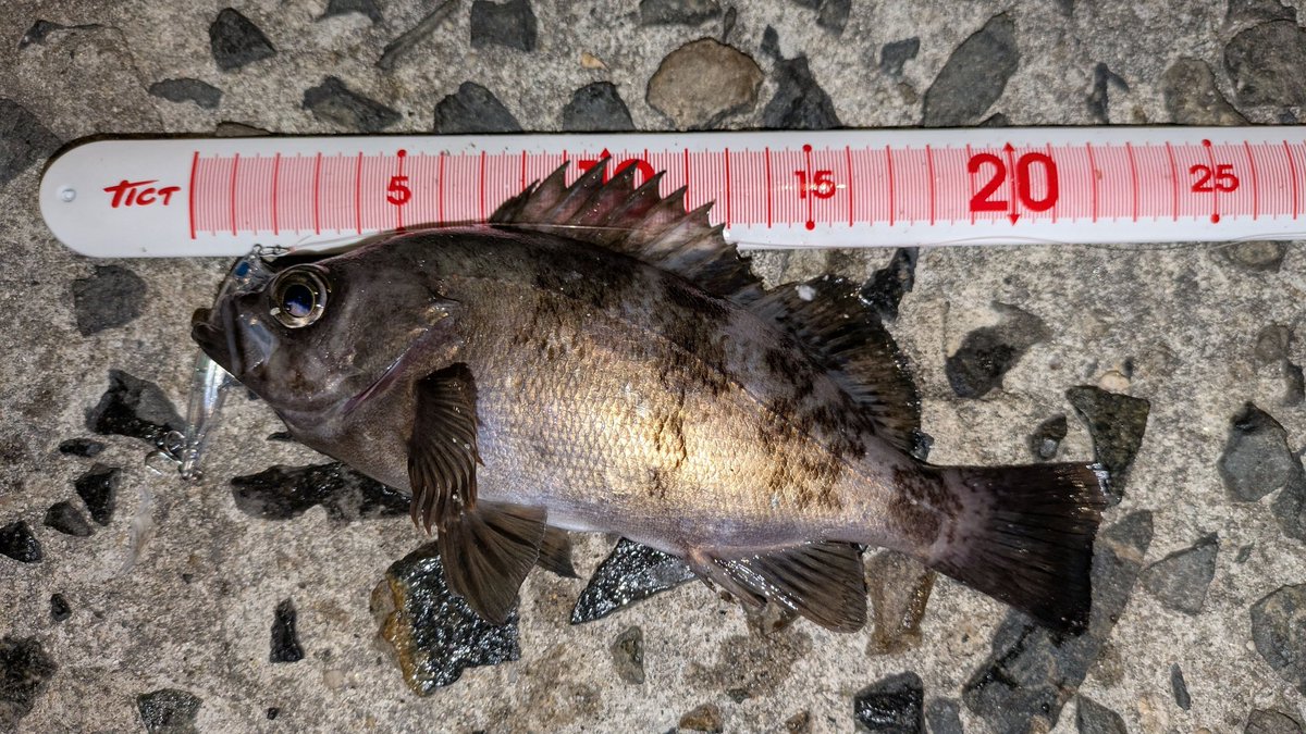 NAVY6622 tweet media