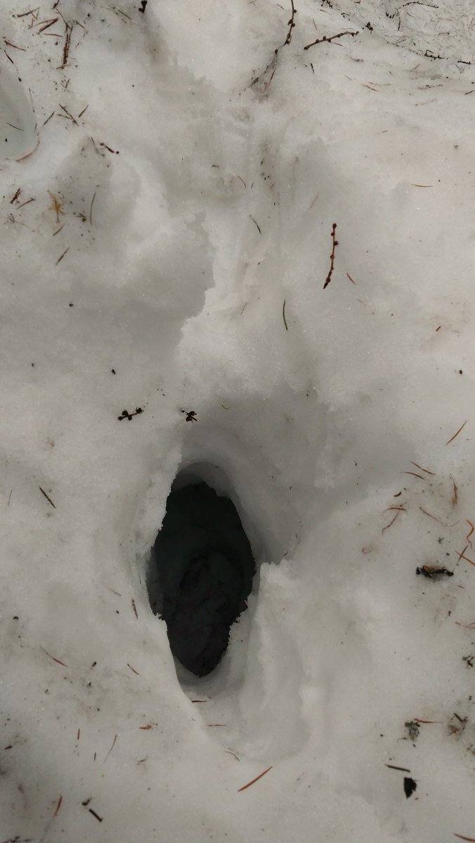 98_64公式#⃣ tweet media