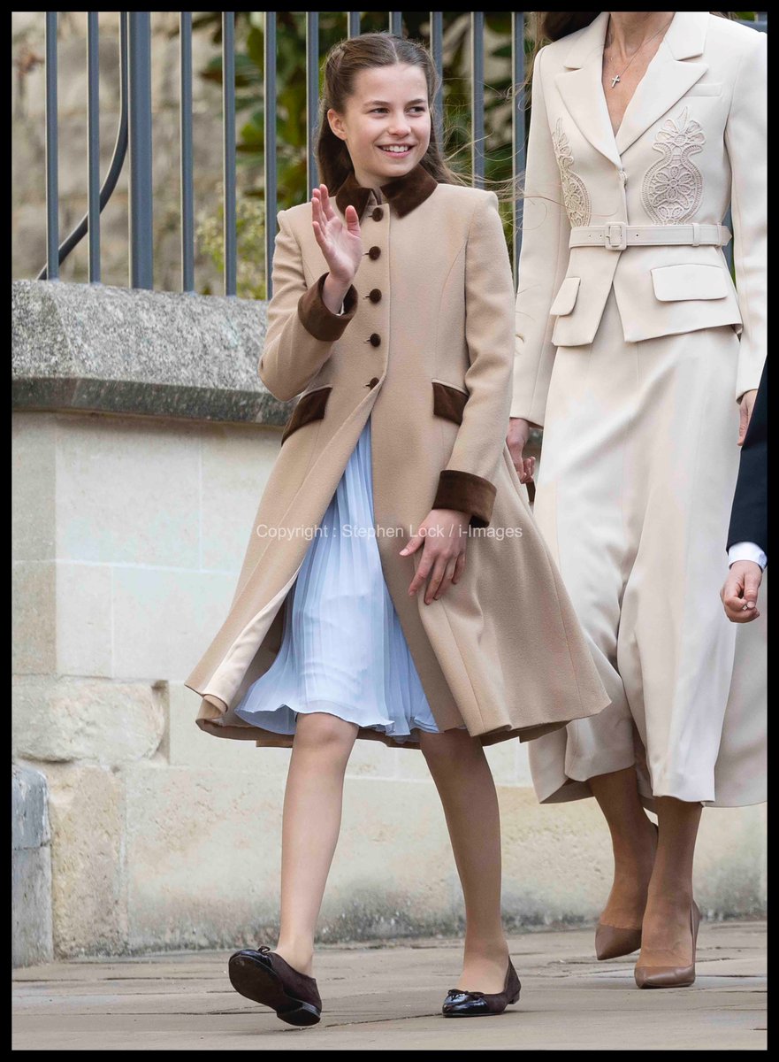 i-Images Picture Agency tweet media