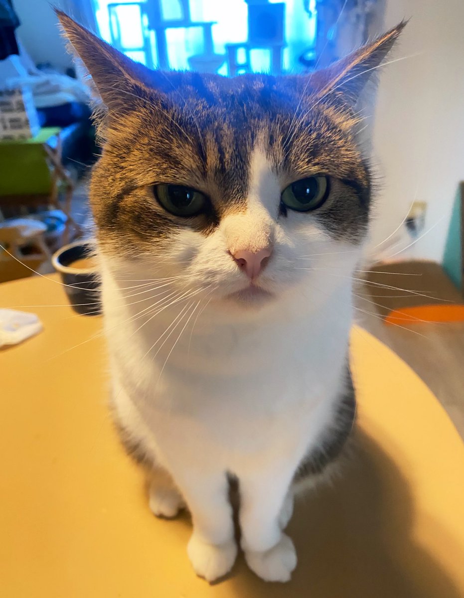 Riley_Rotbrain tweet media