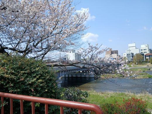 みいちゃん (mie) tweet media