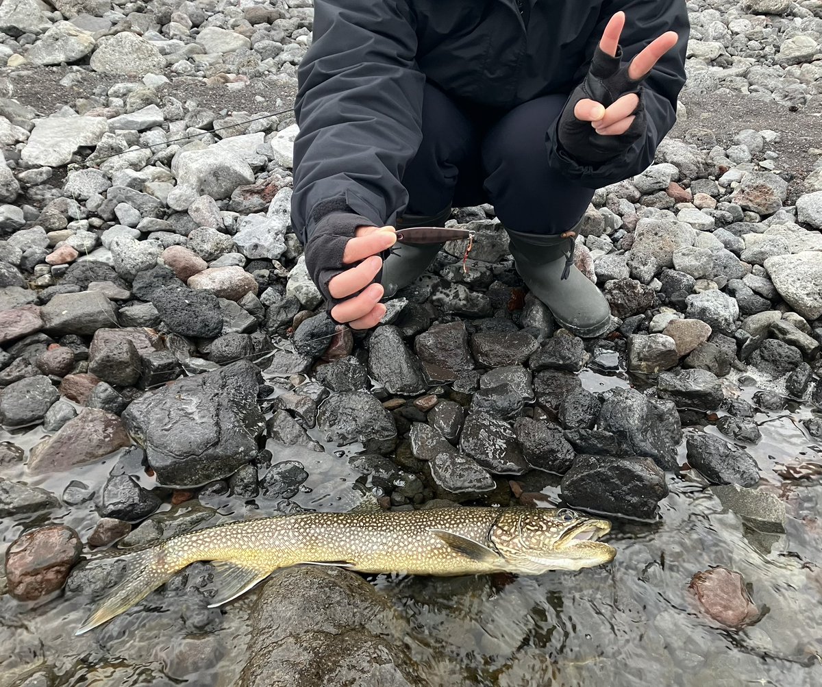 サイぞう tweet media