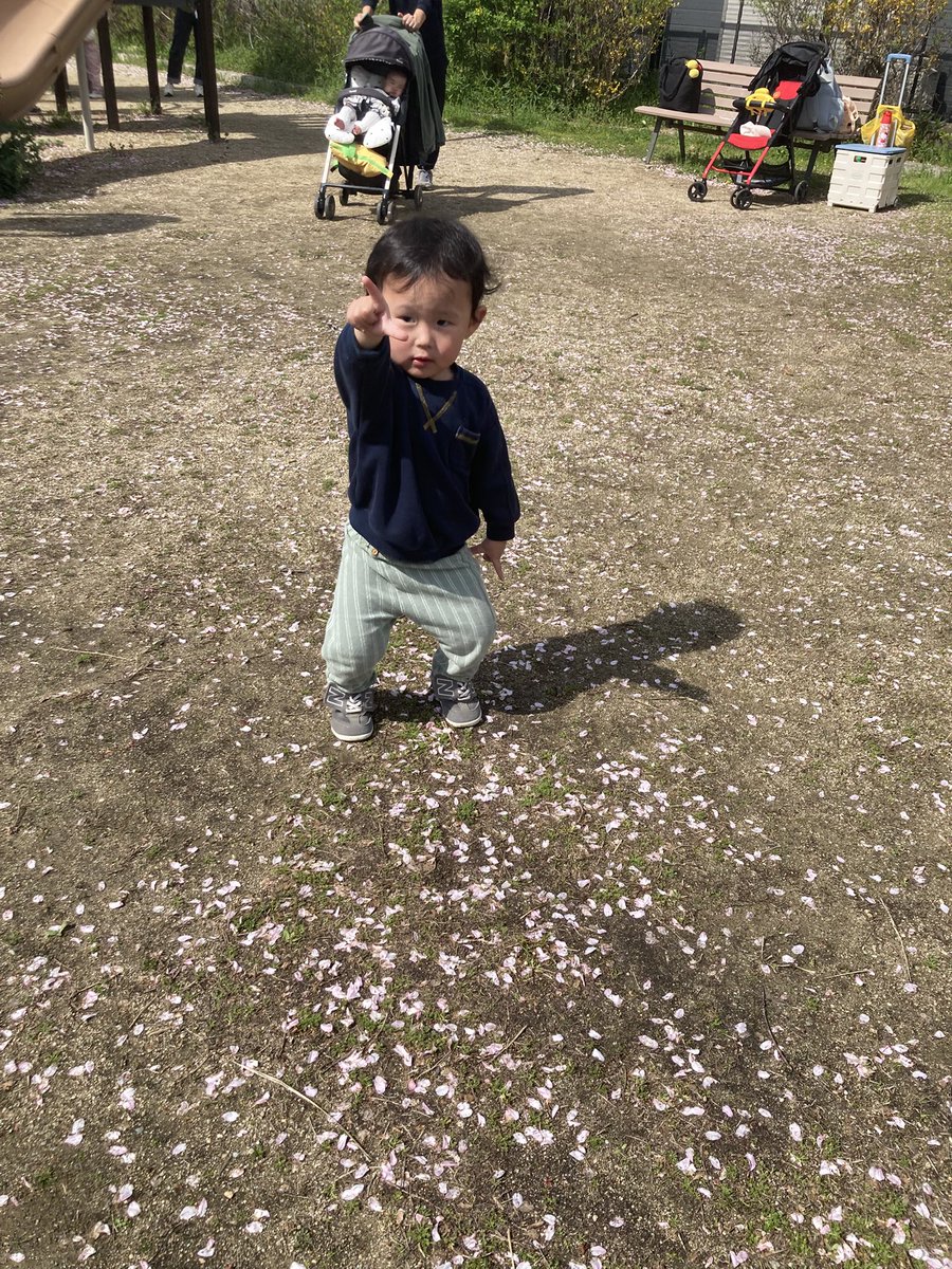 7児ママりんご＠マニラ教育移住 tweet media