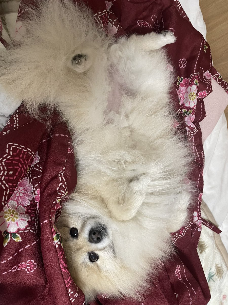 なつき tweet media