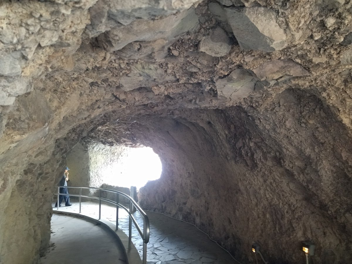 毎日健康飲酒ダイエット tweet media