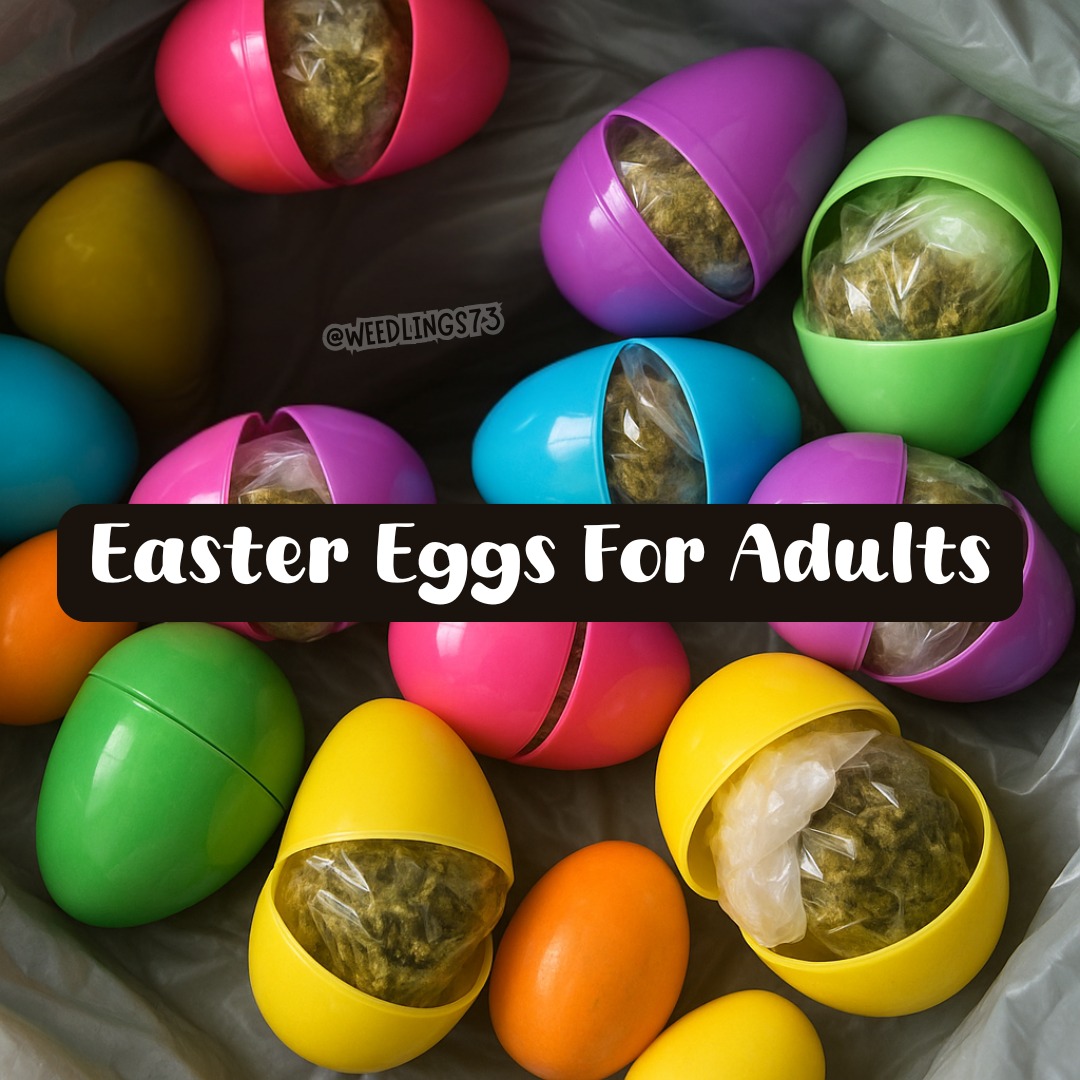 Tracy Goudreau tweet media